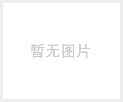 疯狂动物城毛毡手机袋 I 6S保护套 迪士尼授权厂家